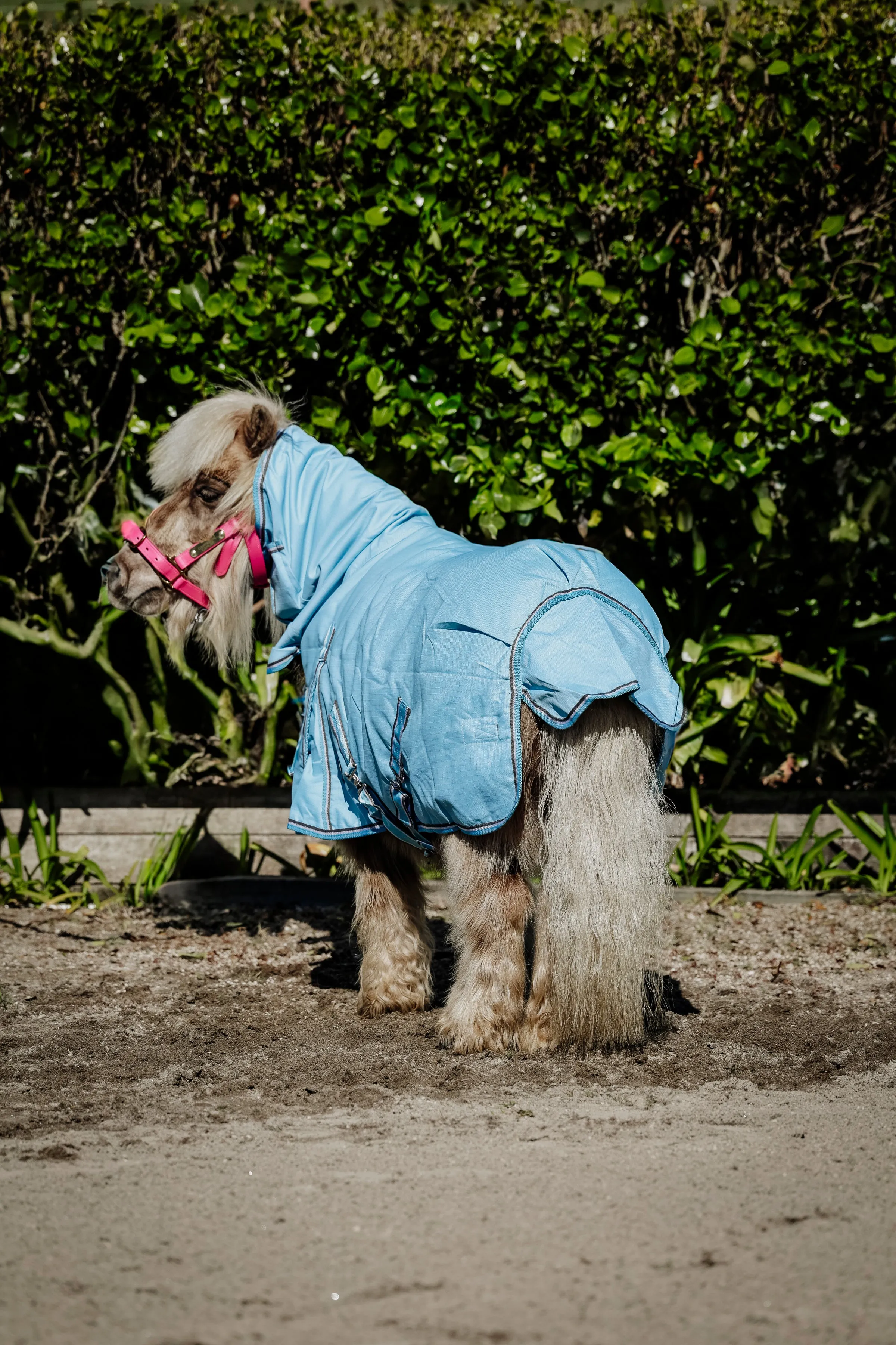 2024 1200D No Fill Spacer Lined Baby Blue Combo (Pony)